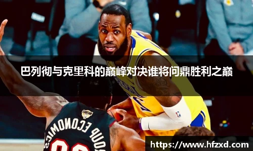 6T体育直播
