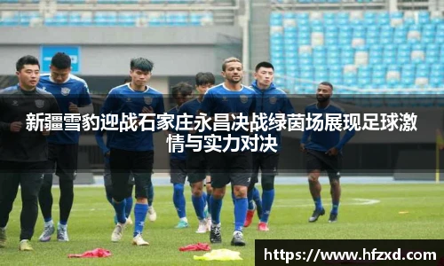 新疆雪豹迎战石家庄永昌决战绿茵场展现足球激情与实力对决
