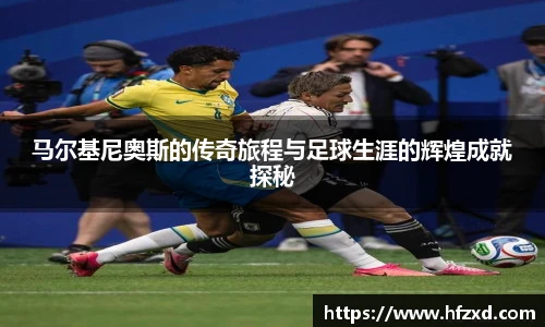 6T体育官网